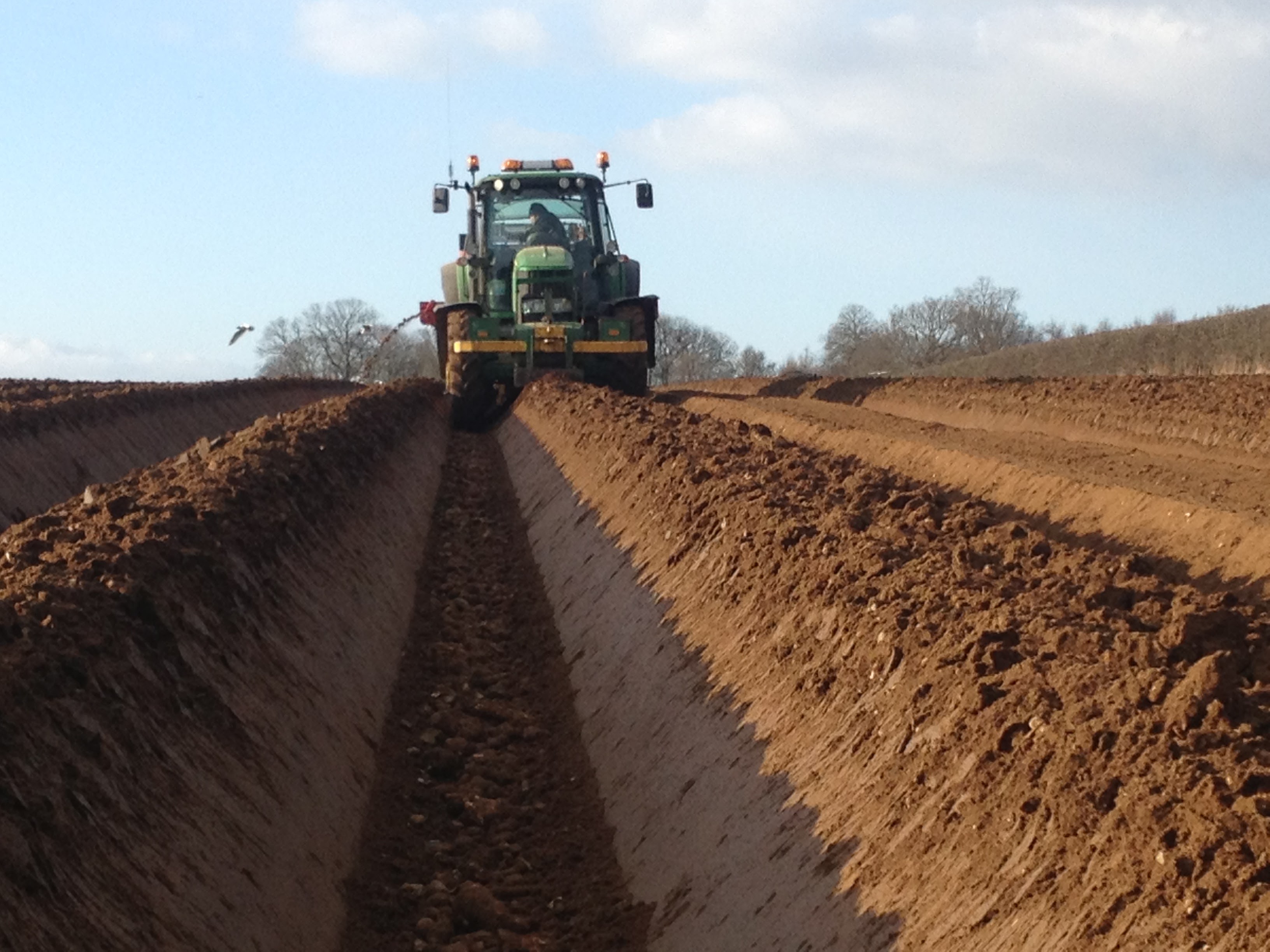 Potato Ridging IMG_0243